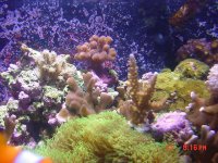 DSC00634-1.JPG