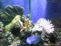 0_IMAGE_00113.jpg