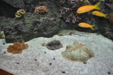 DSC_0173.jpg