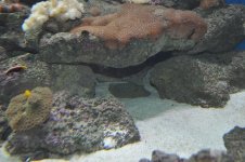 DSC_0178.jpg