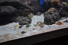 DSC_0186.jpg