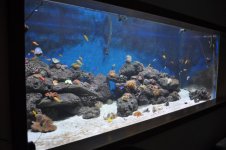DSC_0184.jpg