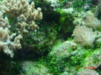 DSC00703-1.JPG