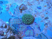 DSCN0040.JPG