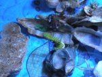 DSCN0038.JPG