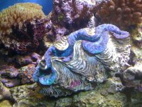 IMG_0212.JPG