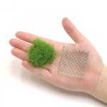 riccia-mesh.jpg