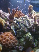IMG_0223.JPG
