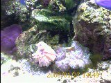 IMAGE_00045.jpg
