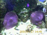 IMAGE_00044.jpg