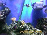 IMAGE_00042.jpg