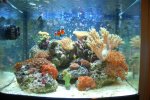 tank_1_31_10b.jpg