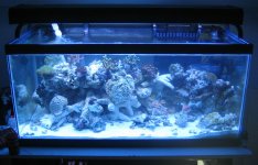 FTS blue only.jpg
