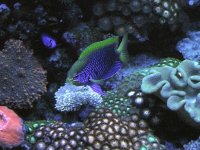 starckidisplay1409.JPG