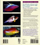 Wrasses&ParrotfishesBack.jpg