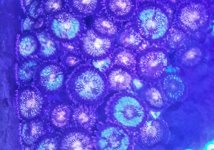 2020-02-29 03.23.53 2.jpg