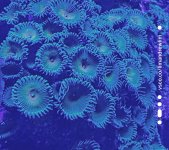 2020-03-02 09.54.51 2.jpg