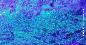 2020-03-02 09.38.37 1.jpg