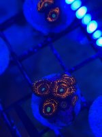 FE06389E-09EC-4DF7-9F79-11B10E71765A.jpeg