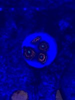 C4091CB1-E751-4169-9ECE-2BAF1B2088FE.jpeg