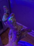 50683CBC-4CD9-43B2-95B2-A046EEDB7D58.jpeg