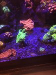 BB827C3E-105D-4EA9-9E2D-CAE576F309C3.jpeg