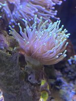 5F494649-E789-4DBC-8543-C23FE8345E4A.jpeg