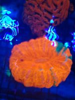 IMG_20200404_154832354.jpg
