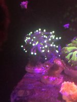 2BEB775C-BE0D-4E05-8136-B172ABB4300E.jpeg