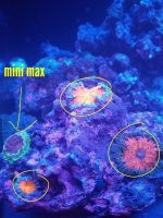 2020-04-18_15.11.12.jpg 2020-04-18_15.11.12.jpg