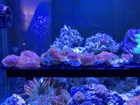 IMG_1035.JPG