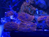 IMG_1040.JPG