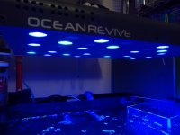 IMG_20200417_114127287.jpg IMG_20200417_114127287.jpg