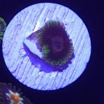 IMG_0403.JPG