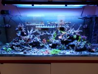 20200506_132554.jpg 20200506_132554.jpg