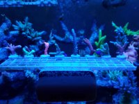 20200508_180316.jpg 20200508_180316.jpg