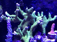 E5B7CCDC-1A5F-48A5-B6DD-AAFA74244156.jpeg