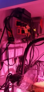 20200521_221839.jpg