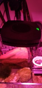 20200521_221845.jpg