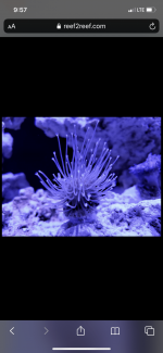 5414FB14-D736-4739-AB67-5AC285FB07FA.png