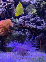 E3A3B45D-8375-4D67-873D-716470581EB0.jpeg