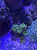4D9538DA-372E-4D0E-901A-667A5F04D5A2.jpeg