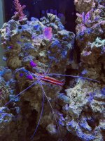 29C252E6-2D1C-442B-A84B-332D52E43839.jpeg