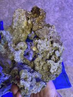 5C57023C-F040-46CA-B188-E05F64F89E62.jpeg