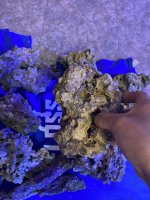 5AD15270-E024-4A76-A025-45205028EACA.jpeg