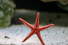IMG_0863.jpg