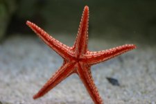 IMG_0876.jpg