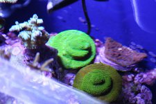 IMG_3246.JPG