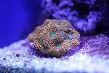 IMG_3242.JPG