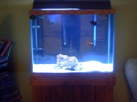 fishtank 2007 010.jpg